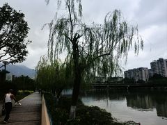 -光明港公园