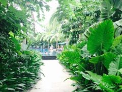 三亚湾海居铂尔曼度假酒店-三亚湾海居铂尔曼度假酒店