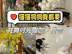 -共舞时光猫咖·狗咖(新街口店)
