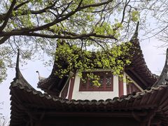 -上海佘山国家森林公园天马山园