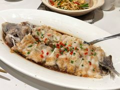 东坡江团鱼-眉州东坡(国贸店)