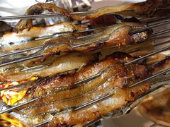 -大孩龙虾(体育场旗舰店)