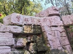 -攀枝花公园
