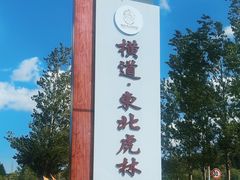 -横道河子东北虎林园