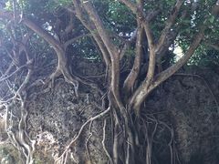 -鹅銮鼻公园