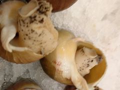 -德川家日本料理(顺义华联店)