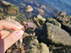 -心悦堂按摩空间