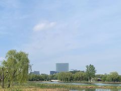 -大兴滨河森林公园