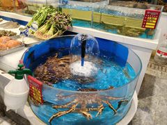 -北塘海鲜·天津菜·鲅鱼水饺是一绝(大光明桥旗舰店)