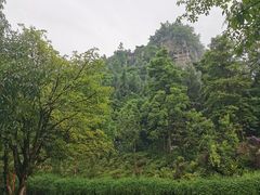 -三峡梯城
