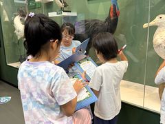 -国家自然博物馆