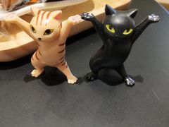 -藏猫猫咖啡主题馆(中央大道店)