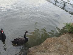 -珠海圆明新园