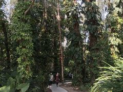 -华南国家植物园-售票处