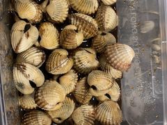 -华盛丰温州大排档(东三环南路店)