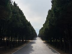 -秦始皇帝陵博物院-丽山园