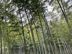 -古隆中景区