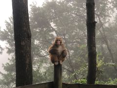 -重庆雨台山风景区