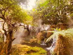 -Chom Cafe and Restaurant