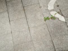 -王家厨房(新华路店)