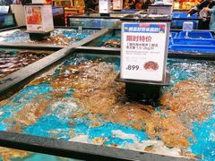 水产区-盒马鲜生(曜一城店)