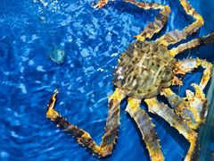 -盒马鲜生(顺义店)