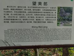 -美人谷景区