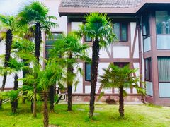 -太阳岛度假酒店