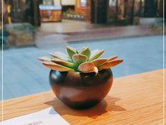 -Peet's Coffee皮爷咖啡(豫园店)