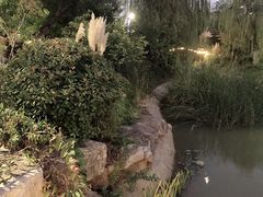 -黑皮酸菜鱼(三山街店)
