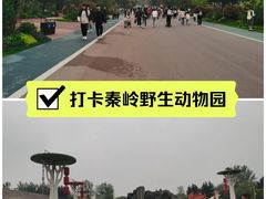 -西安秦岭野生动物园