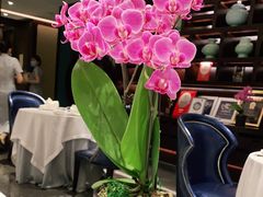 -Yan Ting 宴庭中餐厅(上海静安瑞吉酒店)