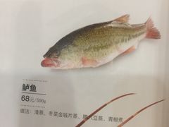 -翠清酒家(万丰路店)