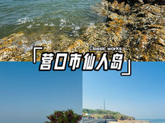 -仙人岛