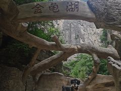 -山西通天峡景区