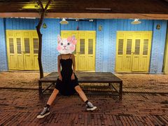 -东南亚风情赶摆街夜市