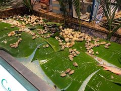 -马哥孛罗咖啡厅·Cafe Marco (厦门马哥孛罗东方大酒店)