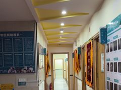 -千城康桥宠物医院·猫科·骨科·心脏