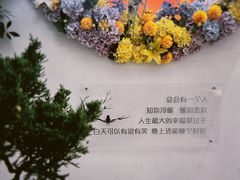 -荷兰花海
