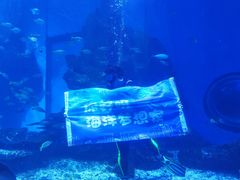 -海合安武汉极地海洋公园
