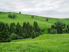 -新疆那拉提国家旅游度假区