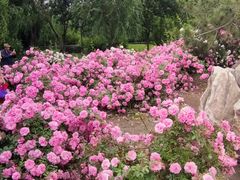 -长春公园(普阳街道)