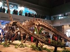 -自贡恐龙博物馆