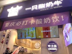 -一只酸奶牛(八一路店)