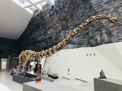 -中华赏石园