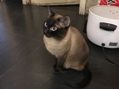 -吱咖啡西式简餐