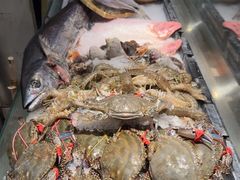 -渔娘渔家丹东海鲜(东直门店)