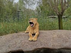 -北京野生动物园