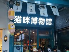 -猫咪博物馆(顶澳仔猫街店)