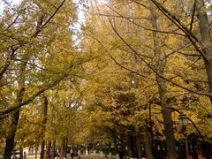android_upload_pic-八大关景区